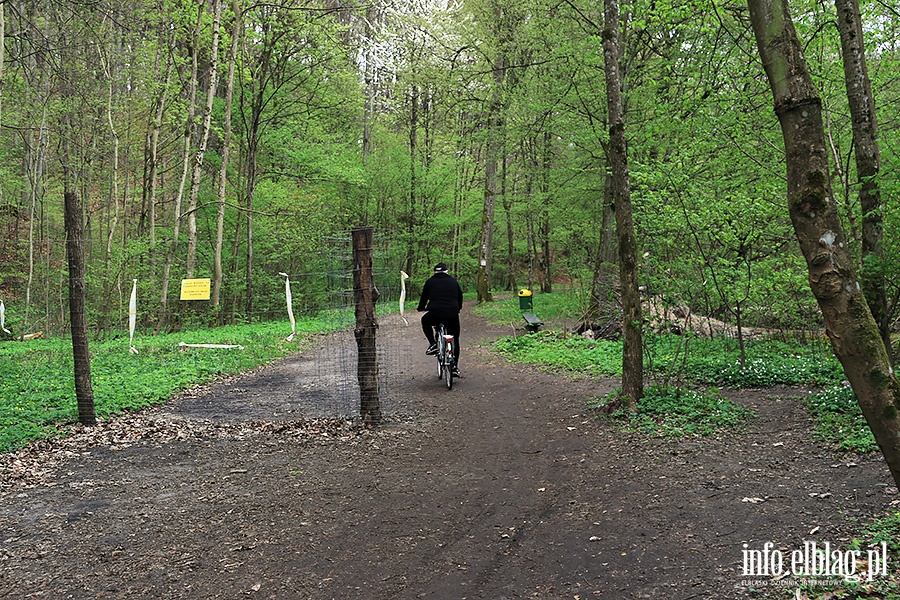 Baantarnia,trasa wzdu Srebnego Potoku, fot. 84