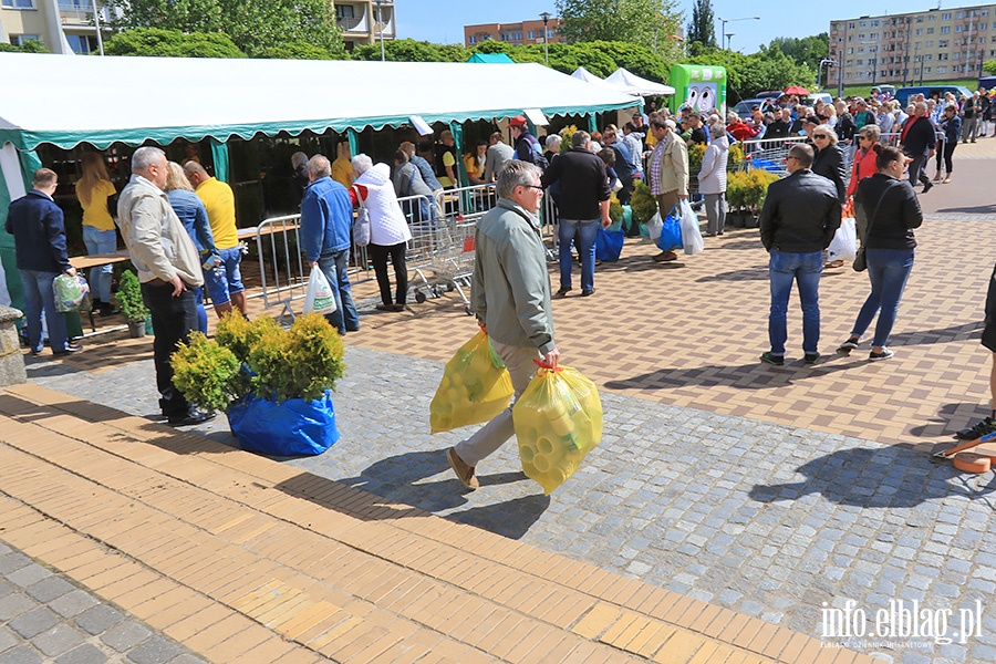 Elblskie Dni Recyklingu, fot. 5