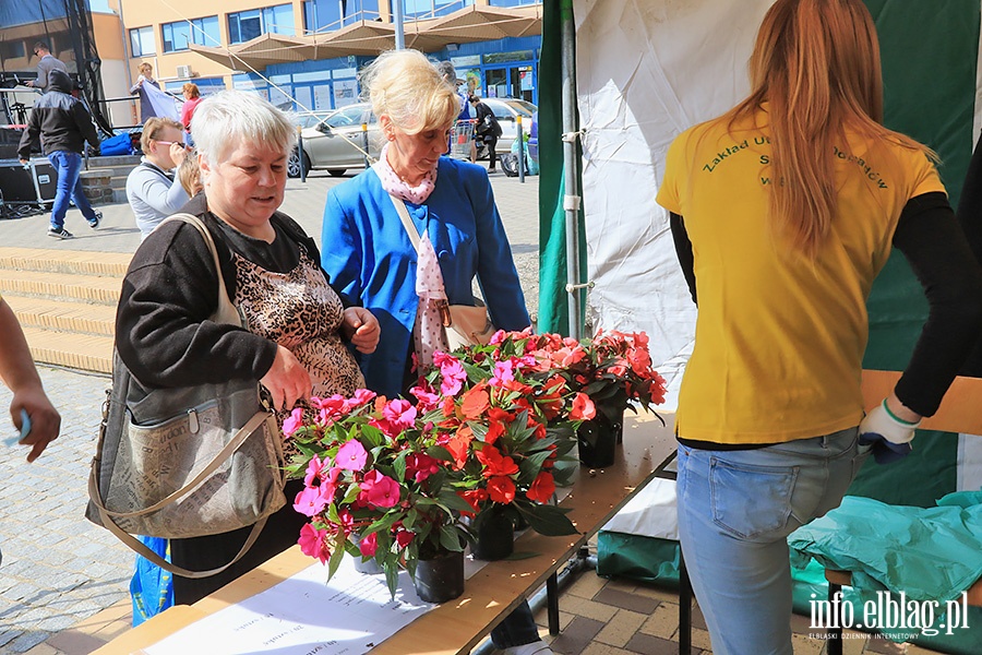 Elblskie Dni Recyklingu, fot. 44