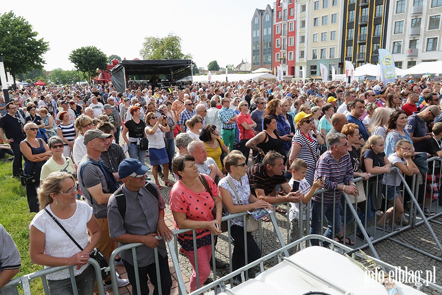 Festyn i koncerty na Placu Katedralnym., fot. 46