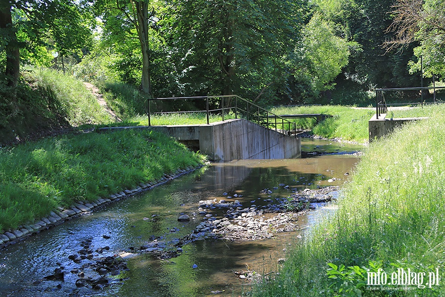 Park Dolinka, fot. 18