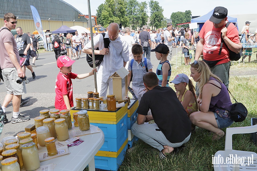 Open Air Day, fot. 125