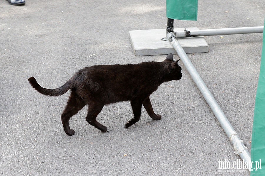 10 lecie Liceum Plastycznego w Gronowie Grnym, fot. 30