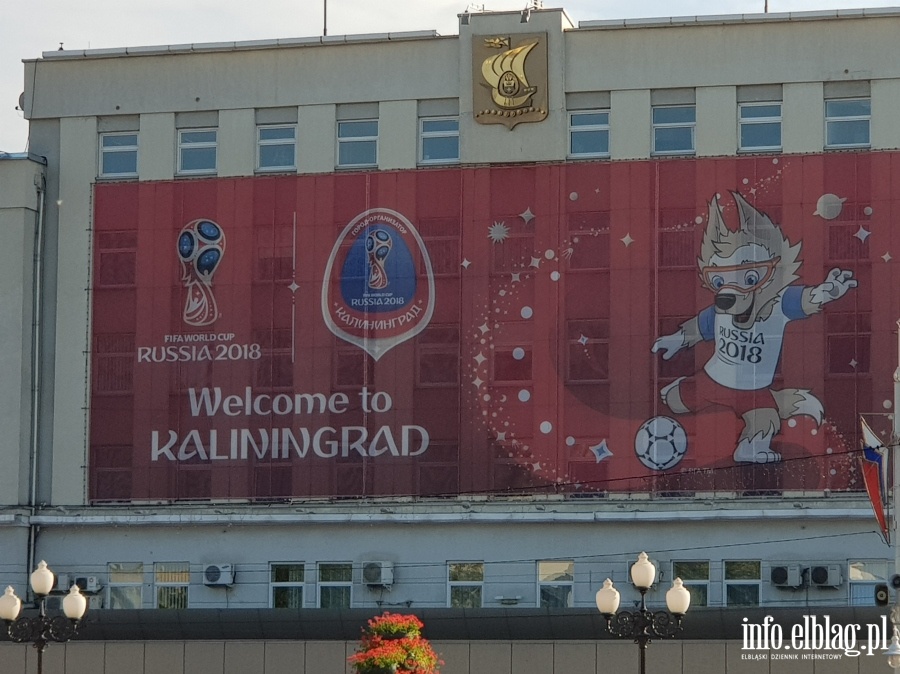 Mecz Chorwacja - Nigeria w Kaliningradzie, fot. 1