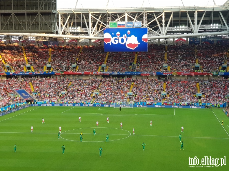 Mecz Polska - Senegal w Moskwie, fot. 14