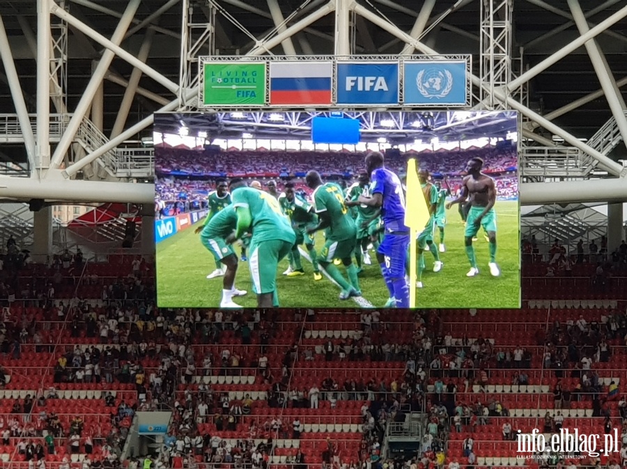 Mecz Polska - Senegal w Moskwie, fot. 16