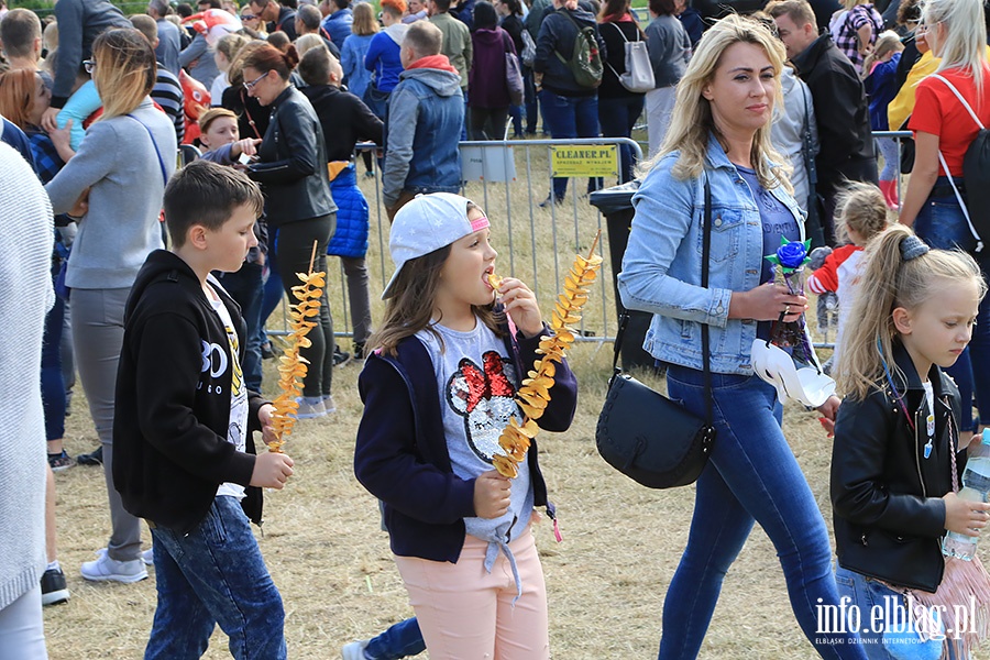 Dni Elbląga dobiegły końca, fot. 107