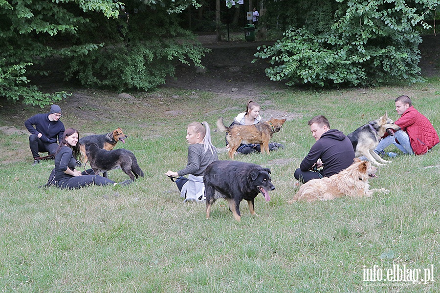 Bieg na 6 łap, fot. 11