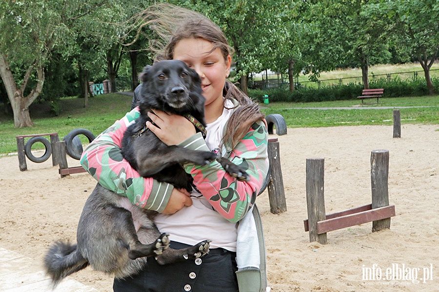 Parada psów adoptowanych, fot. 18