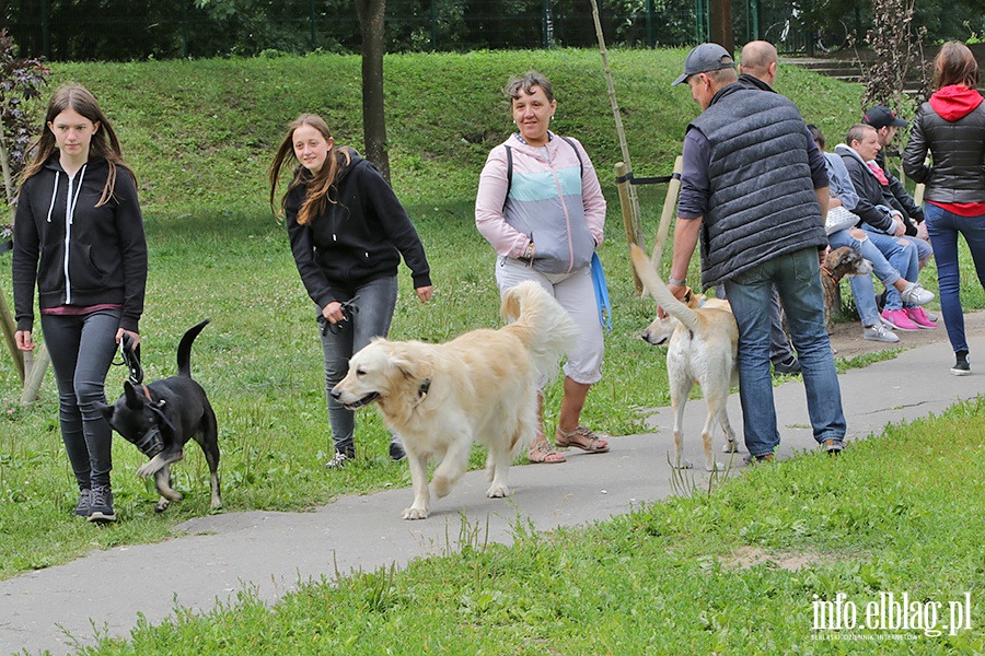Parada psów adoptowanych, fot. 34