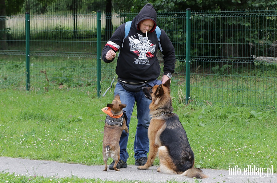 Parada psów adoptowanych, fot. 38