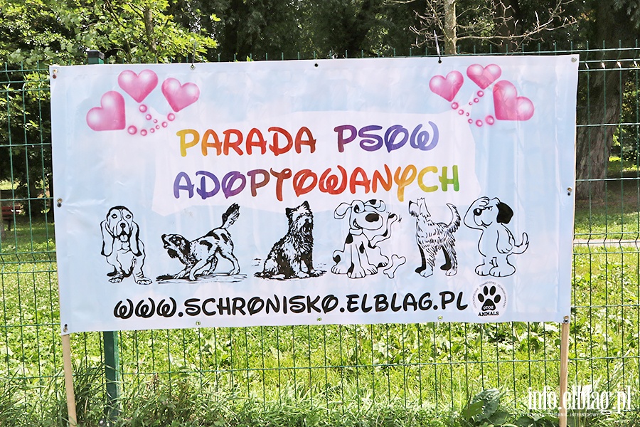 Parada psów adoptowanych, fot. 53