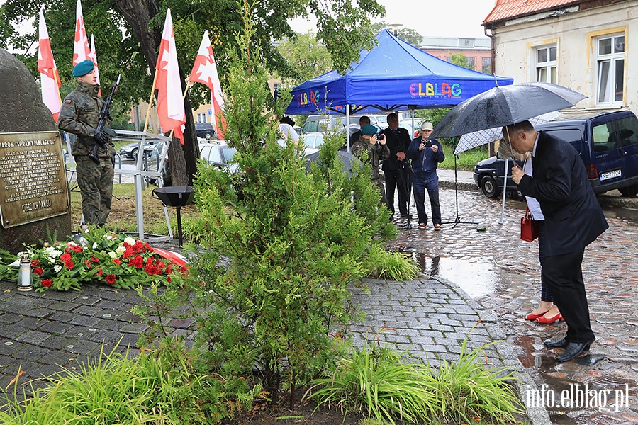 Za nami obchody Sprawy Elblskiej, fot. 15