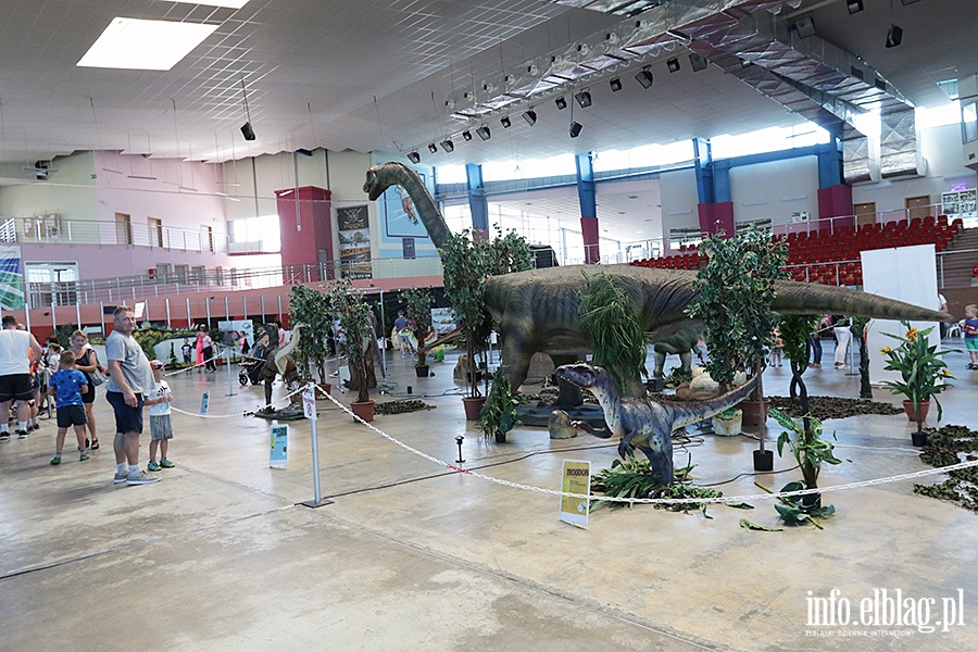 Dino Expo & Show, fot. 20