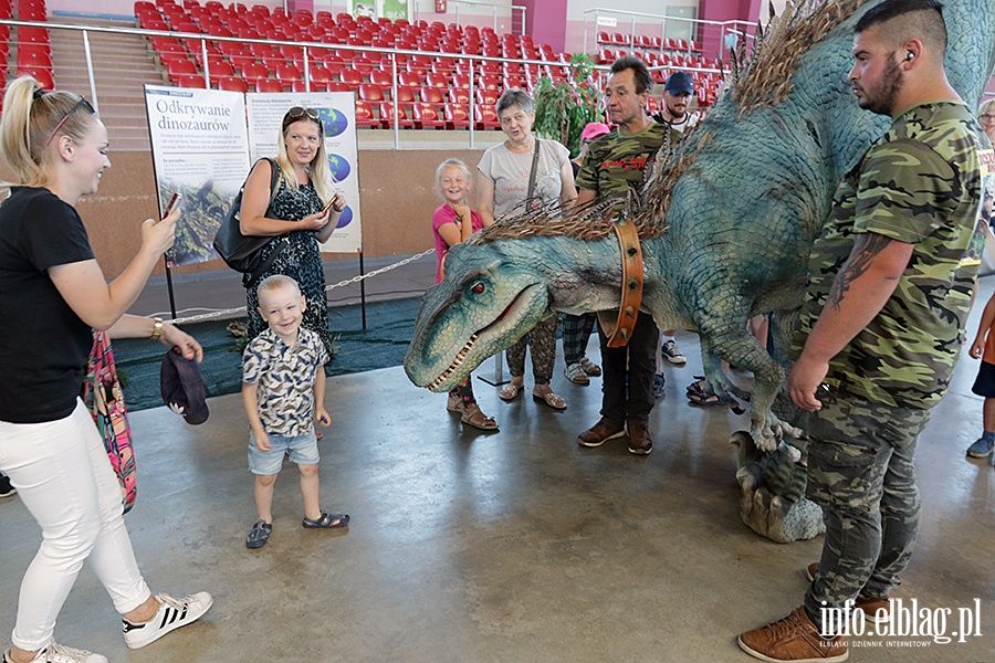 Dino Expo & Show, fot. 38