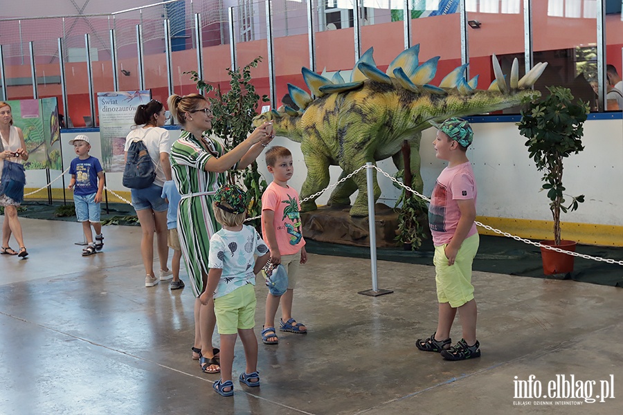 Dino Expo & Show, fot. 52