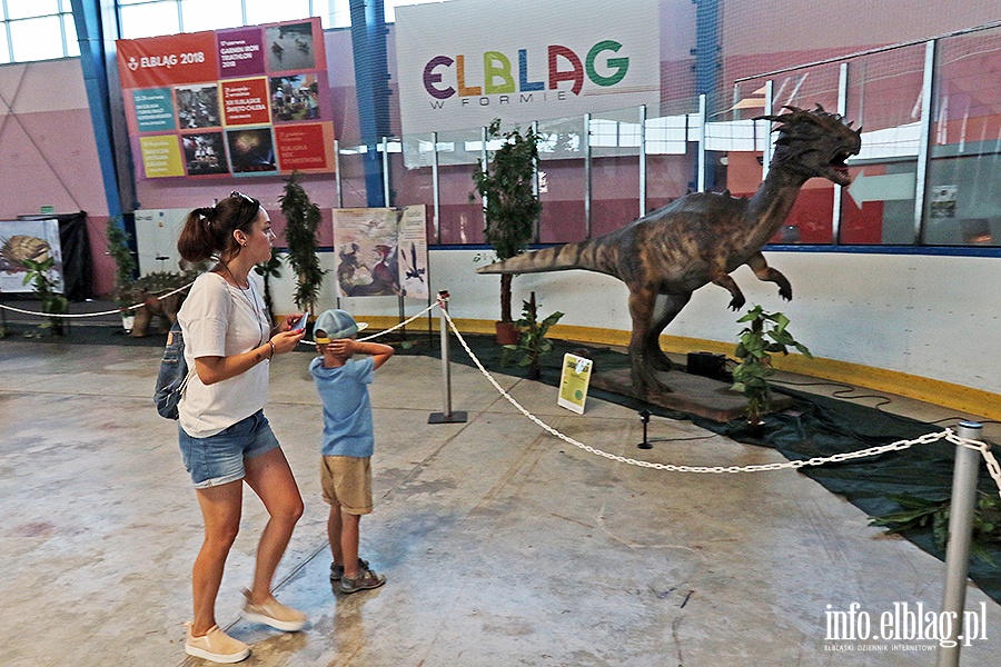 Dino Expo & Show, fot. 58