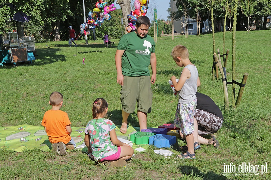 Sjesta park Modrzewie, fot. 7