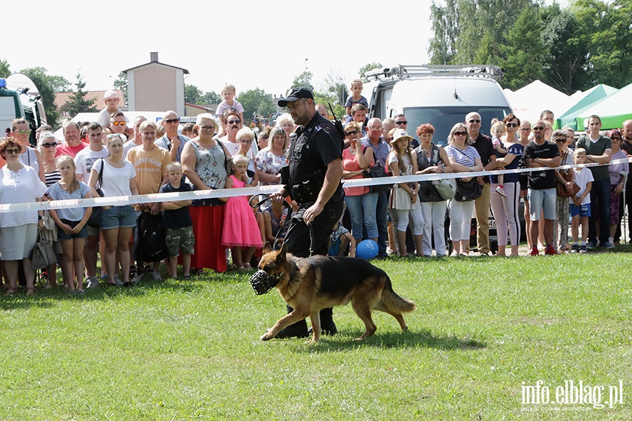 Festyn z okazji wita Policji, fot. 37