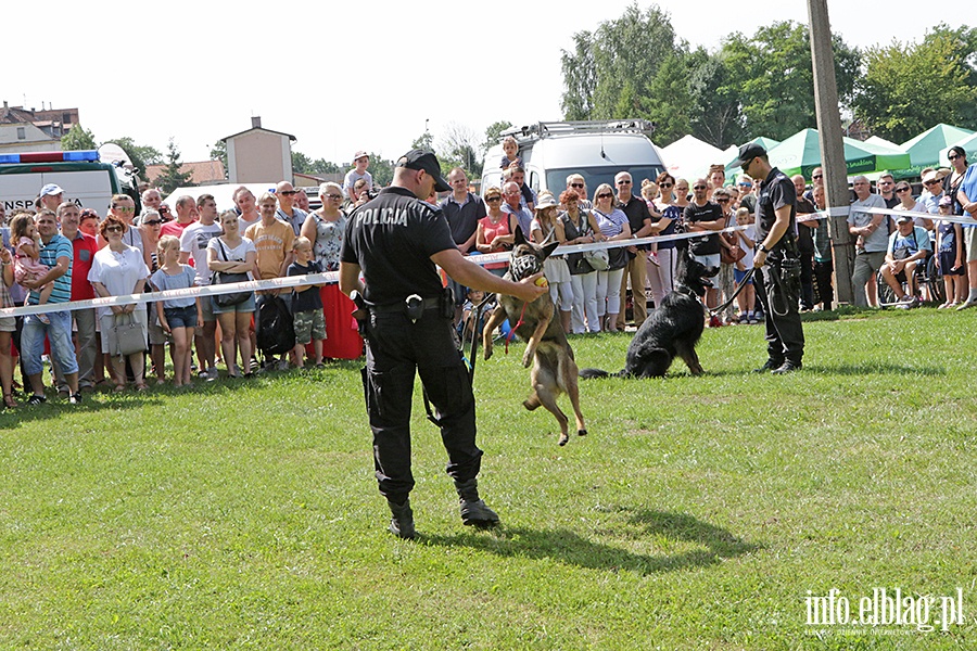 Festyn z okazji wita Policji, fot. 41