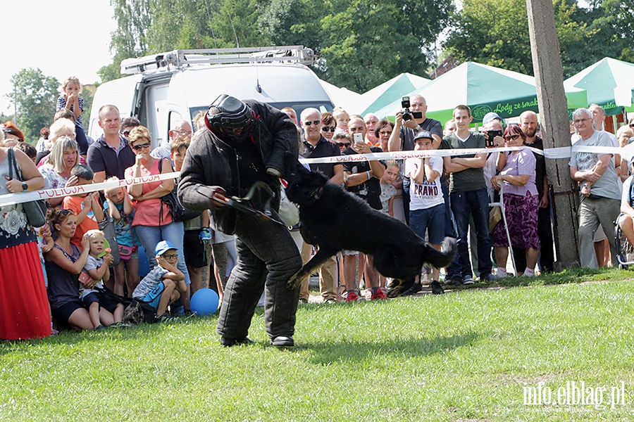 Festyn z okazji wita Policji, fot. 55