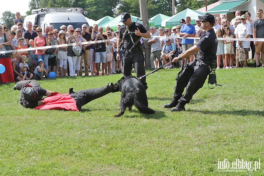 Festyn z okazji wita Policji, fot. 66