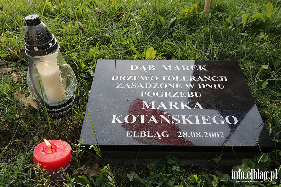 Elblążanie zebrali się pod Drzewem Tolerancji, fot. 18