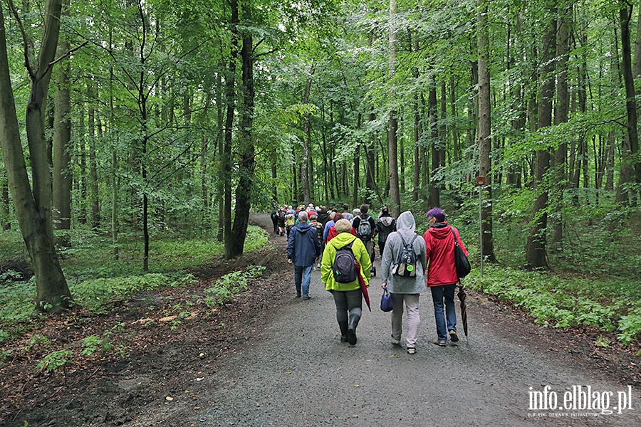 Sobota z przewodnikiem - Bażantarnia, fot. 27