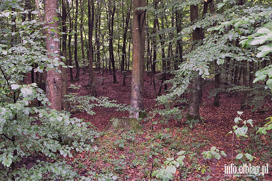 Sobota z przewodnikiem - Baantarnia, fot. 59