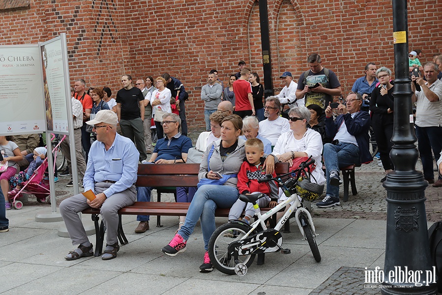 Koncert "Elekryczne dzwonki - muzyka w dzwonach zaklta", fot. 66