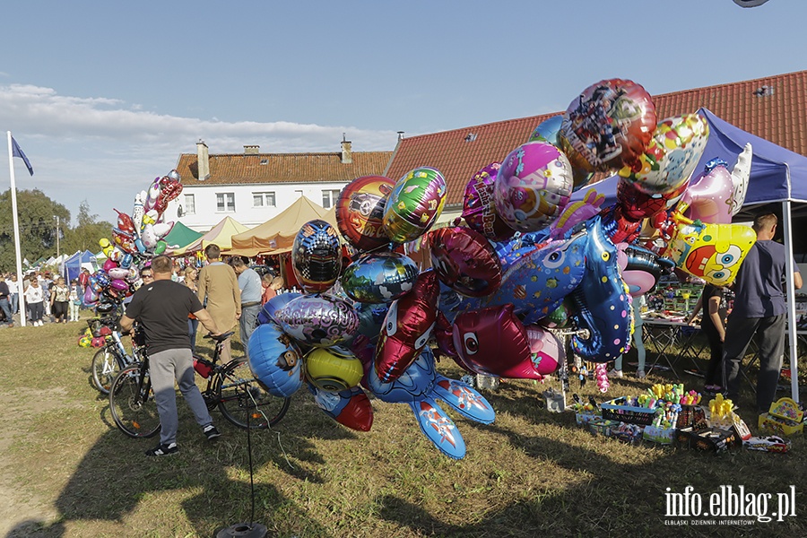 Doynki Powiatowe w Nowakowie, fot. 117