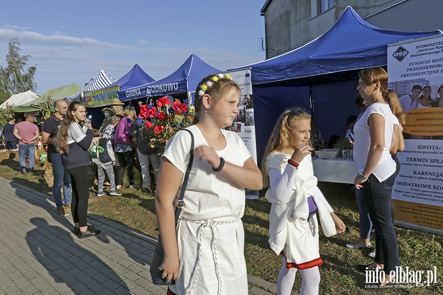 Doynki Powiatowe w Nowakowie, fot. 126