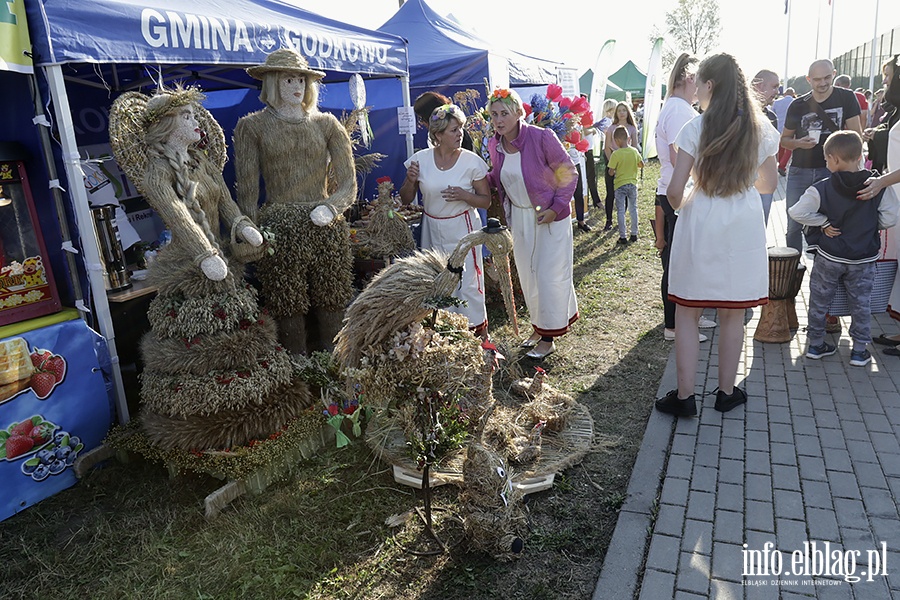 Doynki Powiatowe w Nowakowie, fot. 129