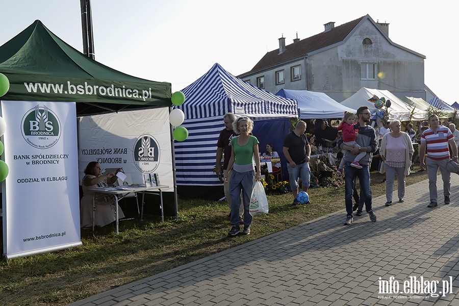 Dożynki Powiatowe w Nowakowie, fot. 142