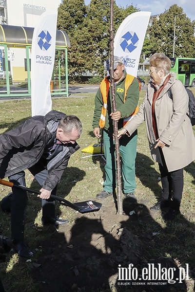 20 lat PWSZ sadzenie drzewek, fot. 12