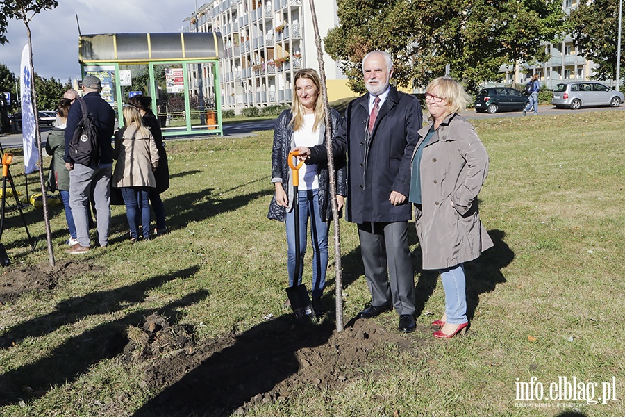 20 lat PWSZ sadzenie drzewek, fot. 14