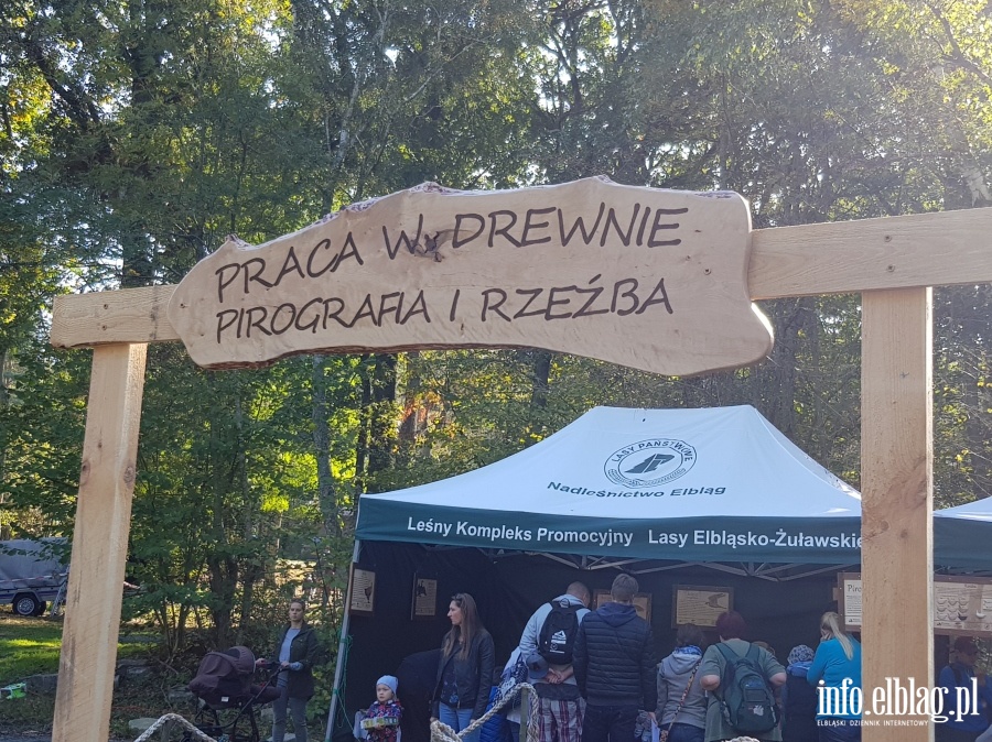 Ptasi piknik w Krynicy Morskiej, fot. 5