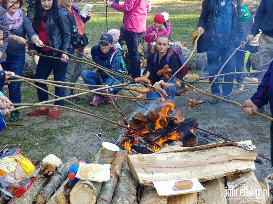 Ptasi piknik w Krynicy Morskiej, fot. 14