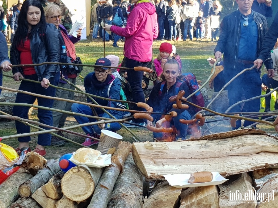 Ptasi piknik w Krynicy Morskiej, fot. 15