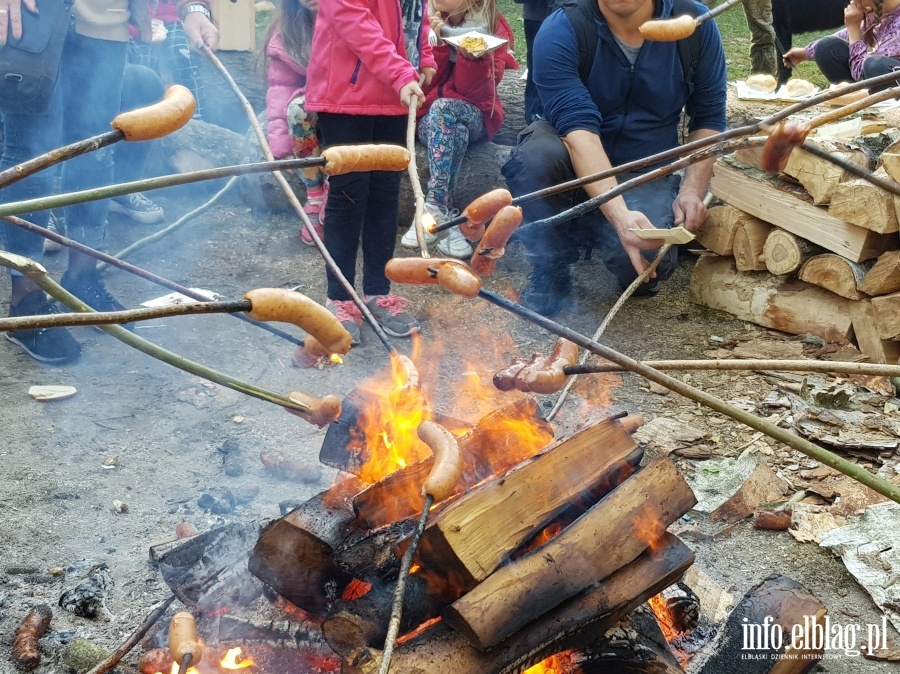 Ptasi piknik w Krynicy Morskiej, fot. 36