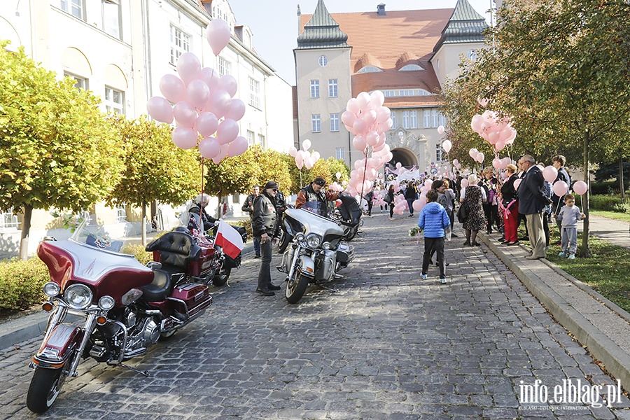 Marsz zdrowia zaróżowił Elbląg., fot. 17