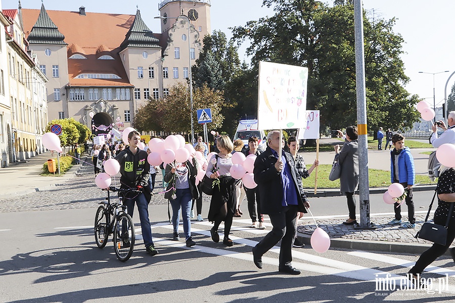 Marsz zdrowia zaróżowił Elbląg., fot. 26