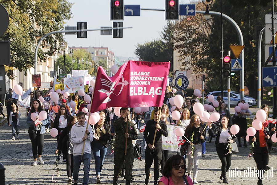 Marsz zdrowia zaróżowił Elbląg., fot. 48