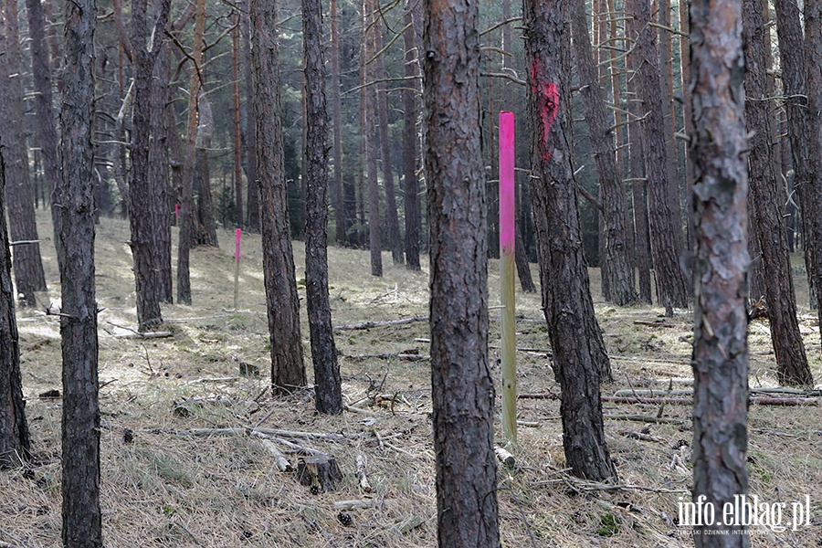 Wizyta Kaczyskiego na Mierzei. Wkopanie supka wytyczajcego przebieg kanau na Mierzei, fot. 22