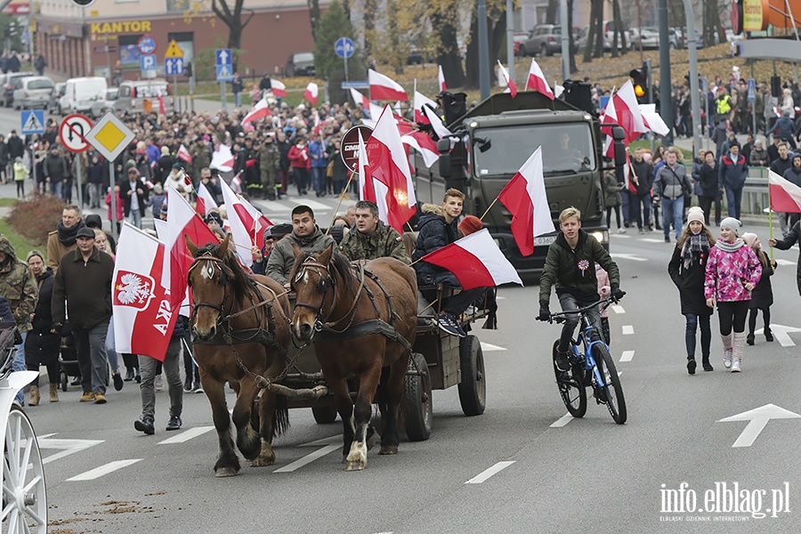 Marsz Niepodlegoci, fot. 101