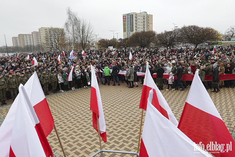 Marsz Niepodlegoci, fot. 153