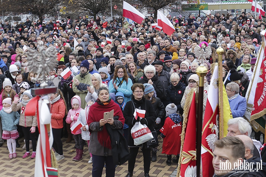 Marsz Niepodlegoci, fot. 234