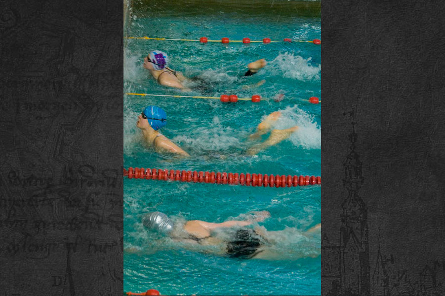 Grand Prix Elbląga w pływaniu, fot. 18