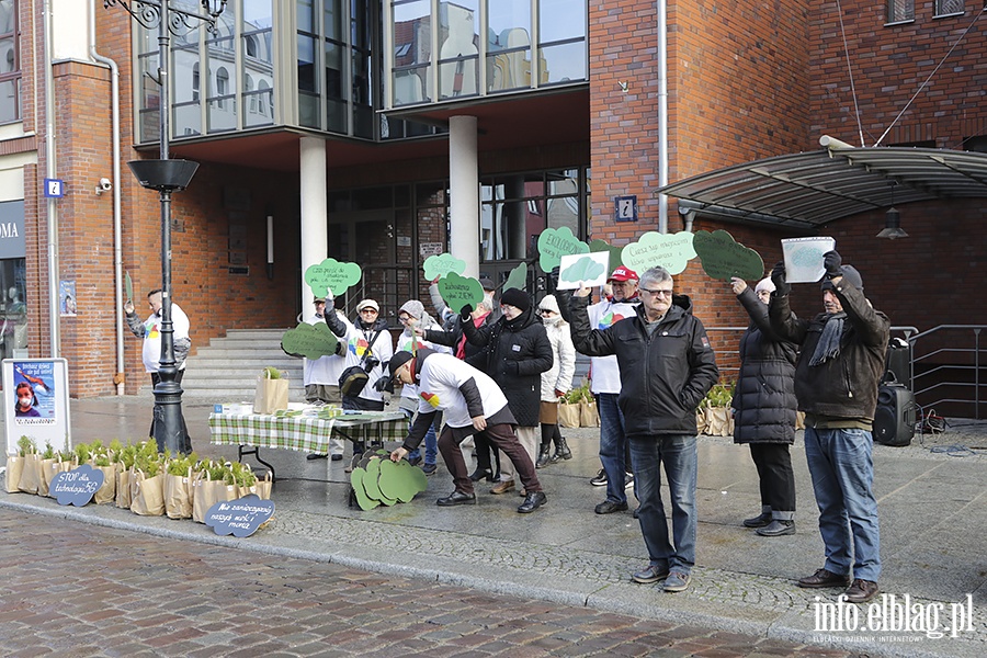 Elblanie dla klimatu,happening KOD., fot. 11