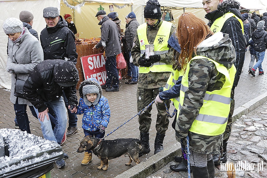 wiateczne Spotkania schronisko, fot. 34